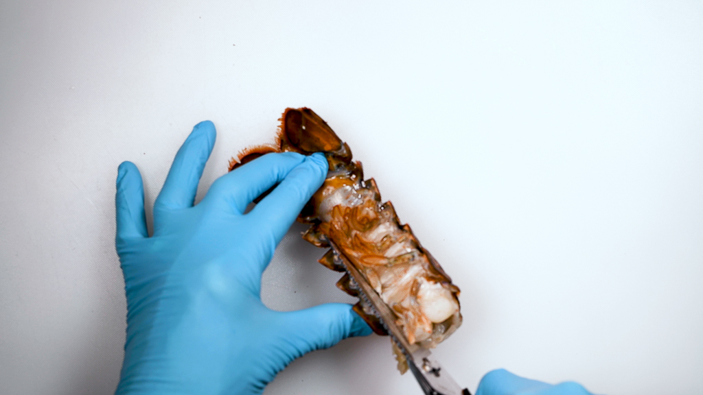 Removing Lobster Tail Meat