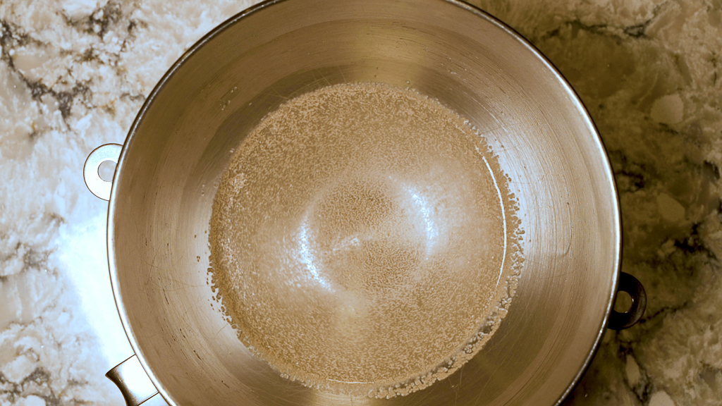 Water, Salt and Yeast in Mixer