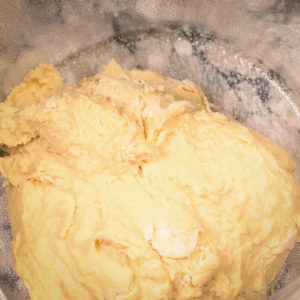 Transfer brioche dough to a dough tub and let it rest.