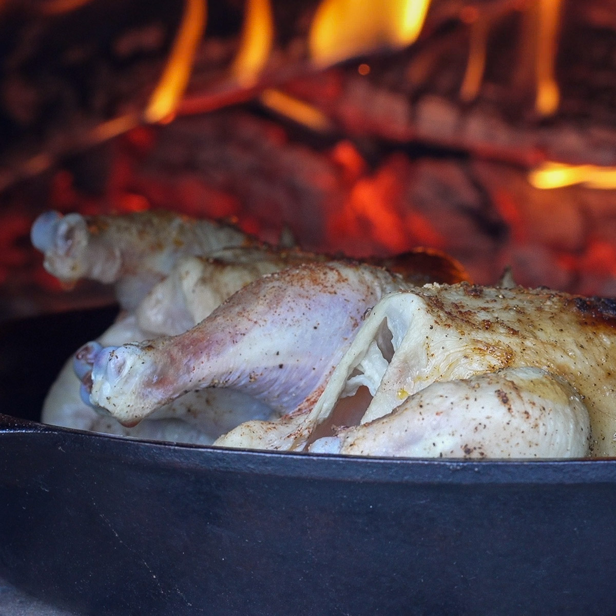 Cornish hens in a wood-fired-oven.