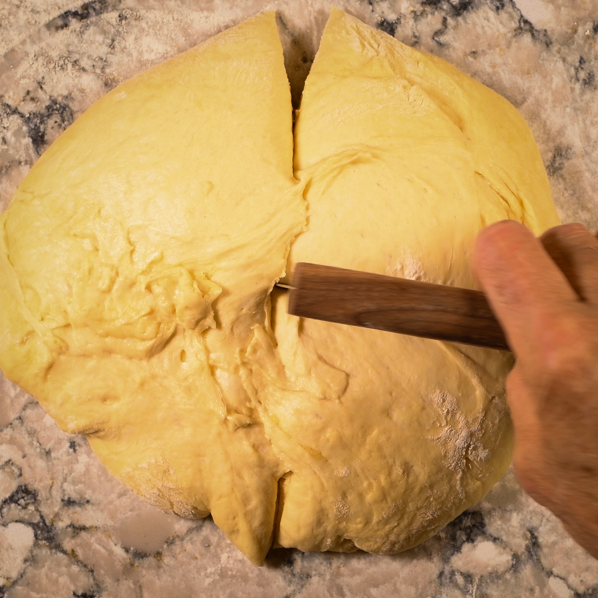 Cut the rested brioche dough into 8 equal pieces.