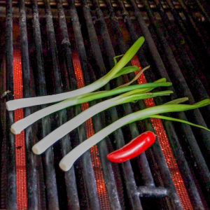Green onion and peppers on the grill.