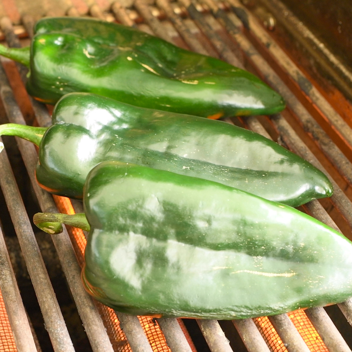 Char the peppers on a hot grill.