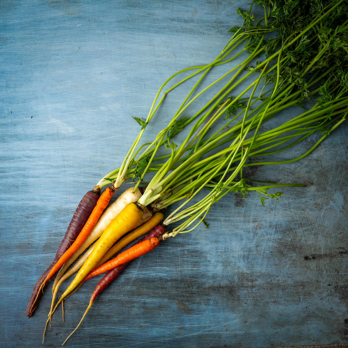 Uncooked rainbow carrots.